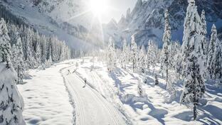 wei Langläufer fahren auf einer verschneiten Loipe durch eine sonnige Winterlandschaft mit schneebedeckten Bäumen und Bergen im Hintergrund.
