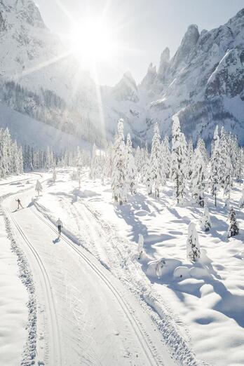 wei Langläufer fahren auf einer verschneiten Loipe durch eine sonnige Winterlandschaft mit schneebedeckten Bäumen und Bergen im Hintergrund.