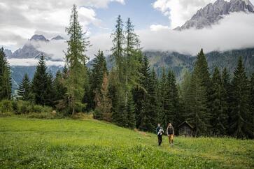 Ein Mann und eine Frau spazieren mit ihrem Baby durch den Wald