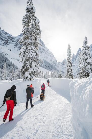 Eine Familie wandern mit Schlitten durch verschneite Landschaft