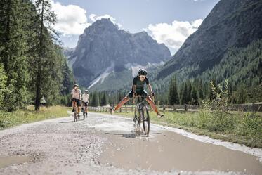 Drei Fahrradfahrer fahren auf einem weitläufigen Weg zwischen Wiese und Wald; im Hintergrund ist eine Berglandschaft zu sehen.