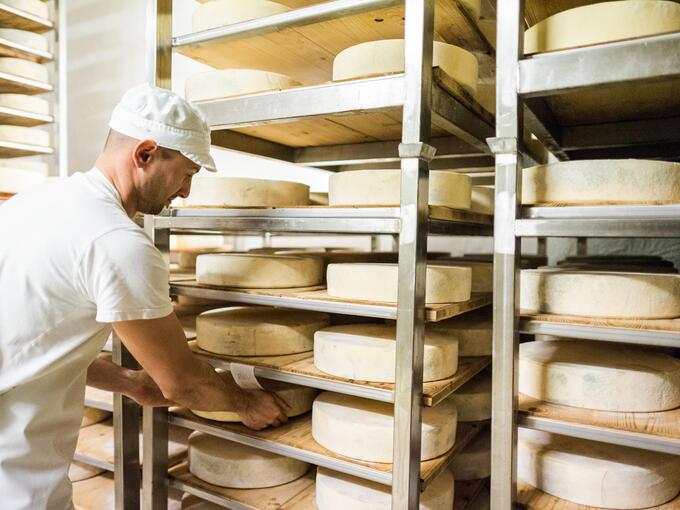 Ein Mann steht in einer Käserei und bereitet Käse zu