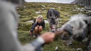 Eine Frau kniet neben einem Esel im Freien und macht ein Selfie mit ihm