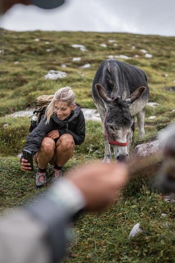 Eine Frau kniet neben einem Esel im Freien und macht ein Selfie mit ihm