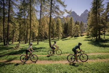 Drei Fahrradfahrer, die durch eine Wald- und Wiesenlandschaft fahren; im Hintergrund sind Berge zu sehen.